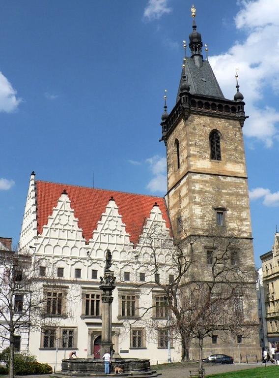 Andrews Centre Daire Prag